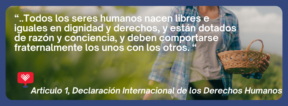 Todos los seres humanos nacen libres e iguales en dignidad y derechos — Artículo 1, Declaración Internacional de los Derechos Humanos